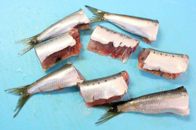 【初心者向け魚料理】イワシと大根の「塩酢煮」が衝撃の透明感！しょうがの刺激でキリッと風味の煮物に!!