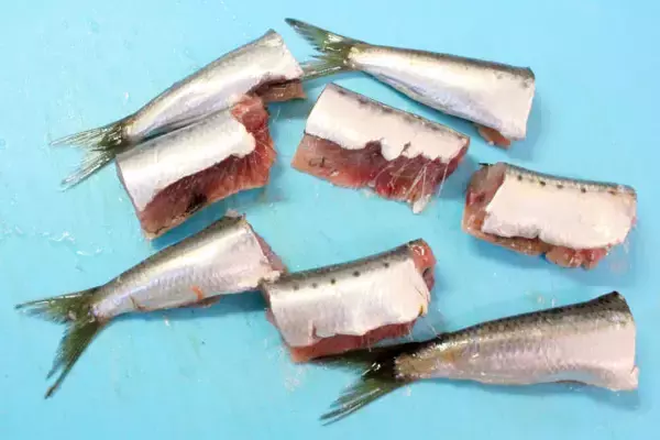 「【初心者向け魚料理】イワシと大根の「塩酢煮」が衝撃の透明感！しょうがの刺激でキリッと風味の煮物に!!」の画像