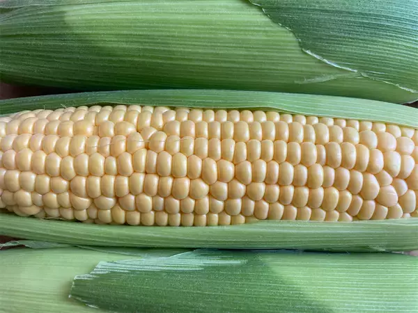 「【農家直伝】とうもろこしは“こってりアレンジ”が悪魔的♡「バターしょうゆコーン」作ってみた！レンチン4分♪」の画像