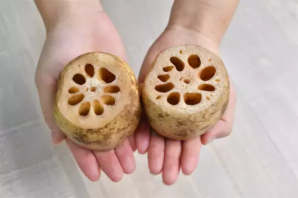 「【割れちゃった…を防止】れんこんは○○○○すればスパッと切れる！シャキシャキ感もキープ♪【青髪のテツ】」の画像