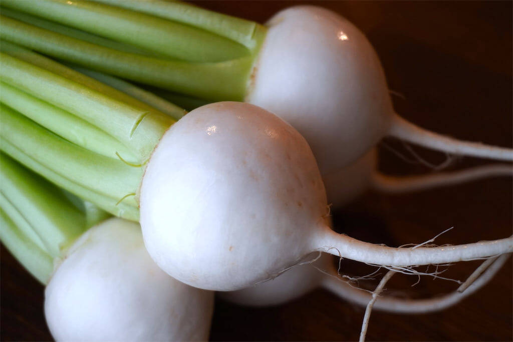 【農家直伝】かぶの浅漬け変化球「甘酢和え＆塩昆布和え」作ってみた！もきゅもきゅ食感♡