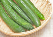【あと1品ほしいとき】きゅうり1本で…ポリ袋調理3選！「切り方」＆「味変」ワザでポリポリ箸が止まらない～