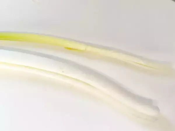 「切って詰めて焼くだけ！これは新しい！ピーマンやシイタケではない「ねぎの肉詰め」作ってみた！」の画像