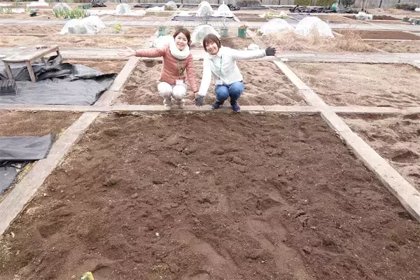 「【にちにち農ガール】秋冬野菜の畑レポ！苗から植えたロマネスコと芽キャベツの収穫です♪豊作です♡」の画像