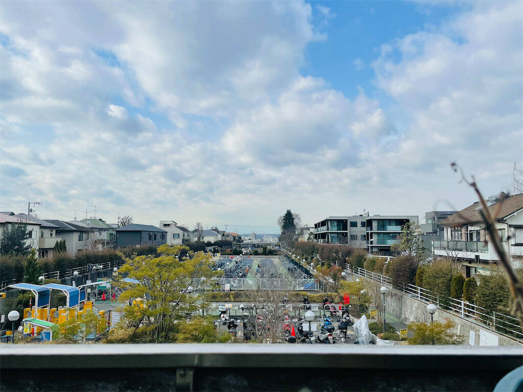 【にちにち農ガール】秋冬野菜の畑レポ！苗から植えたロマネスコと芽キャベツの収穫です♪豊作です♡