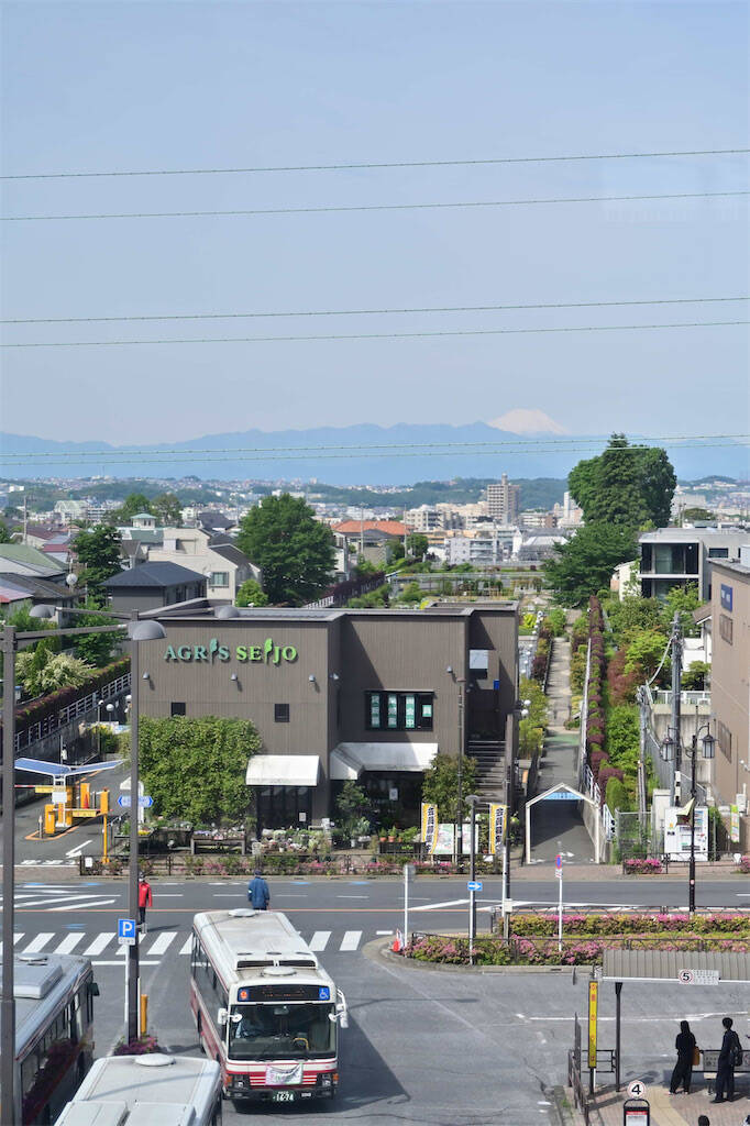 【にちにち農ガール】秋冬野菜の畑レポ！苗から植えたロマネスコと芽キャベツの収穫です♪豊作です♡