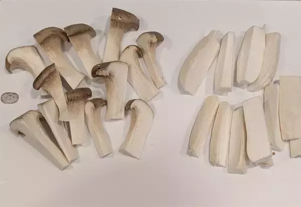 「【料理初心者さん必見】旬のエリンギにアレ巻いて天ぷら作ろう！プリップリ食感…からの磯の香り◎【農家直伝】」の画像