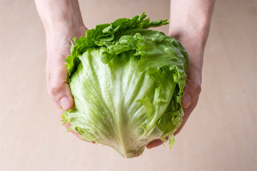 【青髪のテツ】「野菜室で放置のレタスがシワシワ…ならば復活の呪文を」お湯＆冷水でシャキーン!?