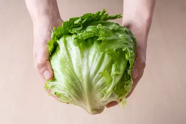 「【青髪のテツ】「野菜室で放置のレタスがシワシワ…ならば復活の呪文を」お湯＆冷水でシャキーン!?」の画像