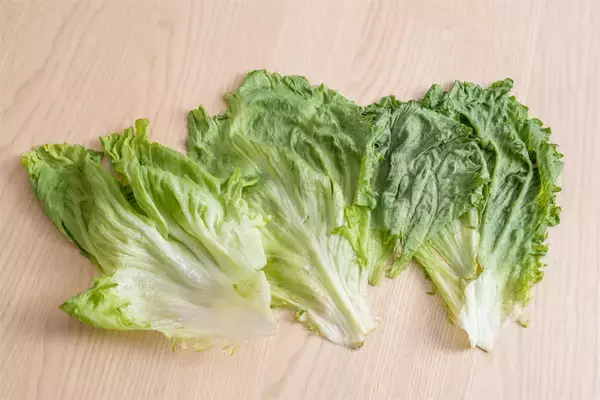 「【青髪のテツ】「野菜室で放置のレタスがシワシワ…ならば復活の呪文を」お湯＆冷水でシャキーン!?」の画像