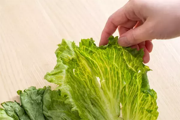 「【青髪のテツ】「野菜室で放置のレタスがシワシワ…ならば復活の呪文を」お湯＆冷水でシャキーン!?」の画像