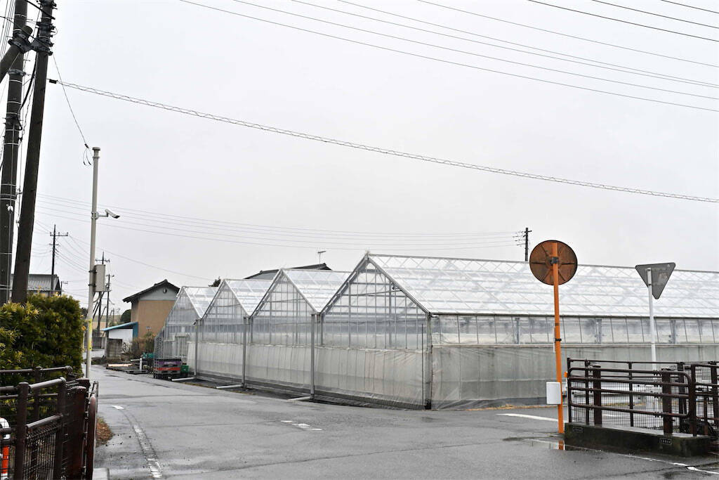 【田園日記～農と人の物語～ Vol.35】水に恵まれた肥沃な土壌で育つ「キュウリ」