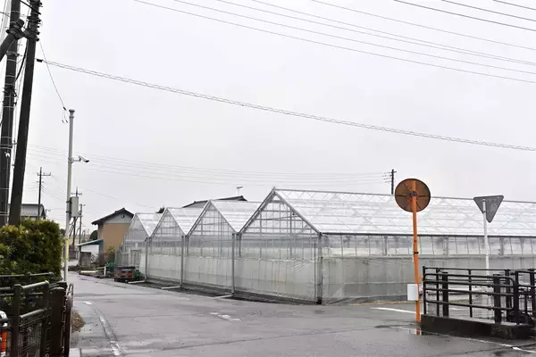 「【田園日記～農と人の物語～ Vol.35】水に恵まれた肥沃な土壌で育つ「キュウリ」」の画像