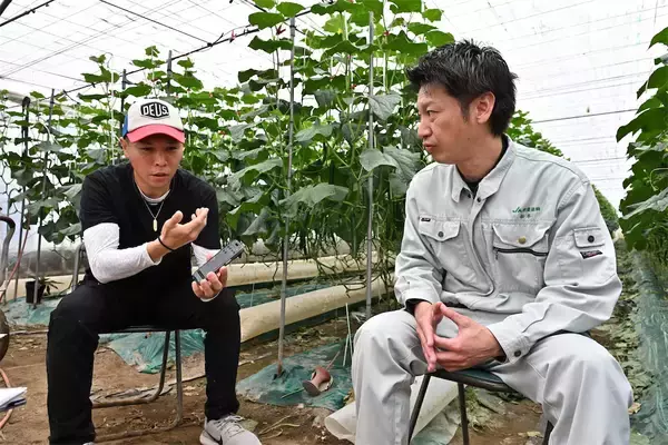 「【田園日記～農と人の物語～ Vol.35】水に恵まれた肥沃な土壌で育つ「キュウリ」」の画像