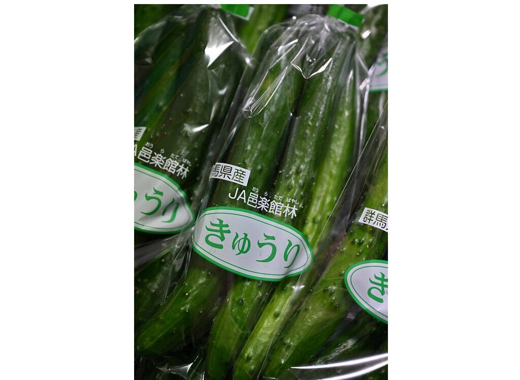 【田園日記～農と人の物語～ Vol.35】水に恵まれた肥沃な土壌で育つ「キュウリ」