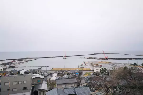 「【田園日記～農と人の物語～ Vol.36】風土が育んだ焼きサバ入り酢の物「きゅうりもみ」」の画像