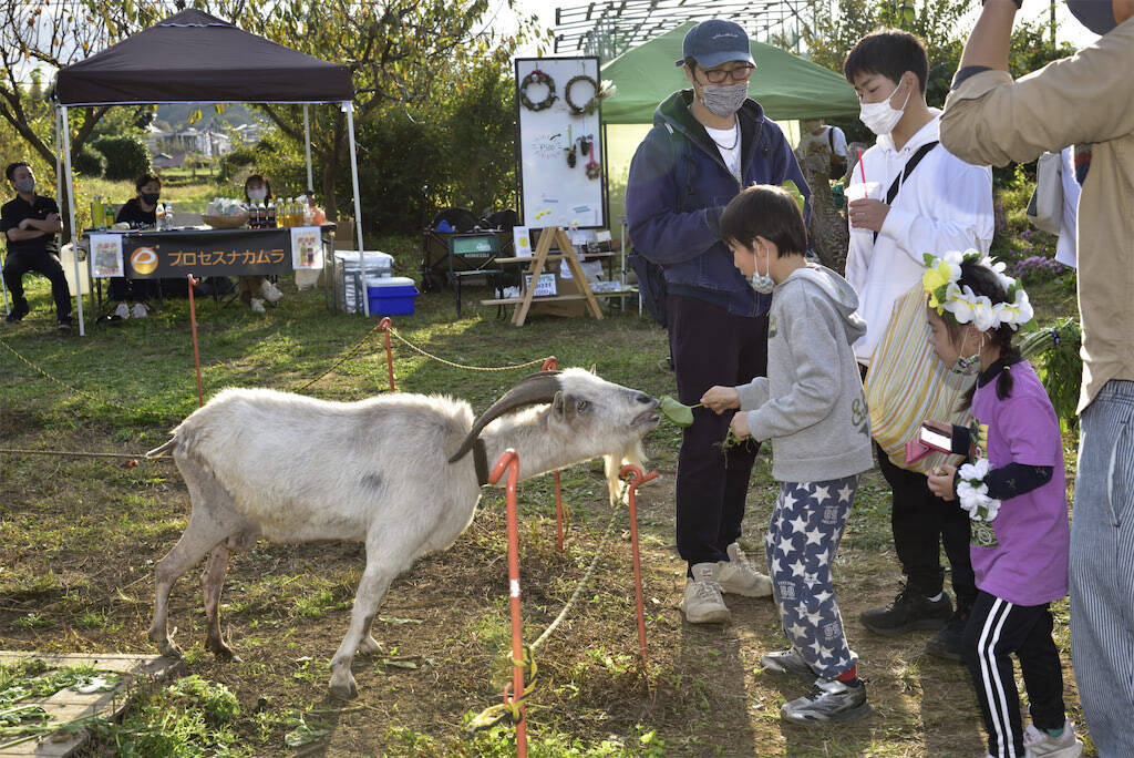 【農業イベント】東京の農家が企画「野菜フェス」野菜販売だけじゃない！え、和太鼓演奏？ヤギに餌やり!?