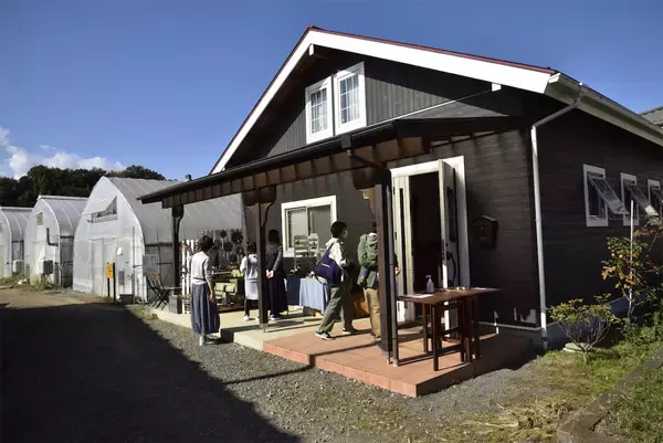 「【農業イベント】東京の農家が企画「野菜フェス」野菜販売だけじゃない！え、和太鼓演奏？ヤギに餌やり!?」の画像
