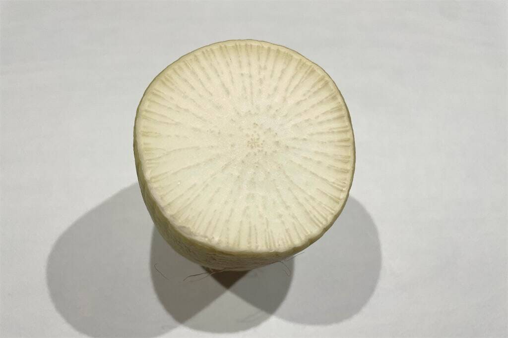 まさかの大根×りんごで「シン・肉巻き」作ってみた！変わり種だけど甘じょっぱい王道風味♡【農家直伝】