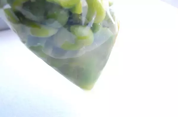 「【30分で仕込み完了】保存袋でラクチン梅仕事♪わずか3日で食べられる「青梅はちみつ漬け」作ろう！」の画像