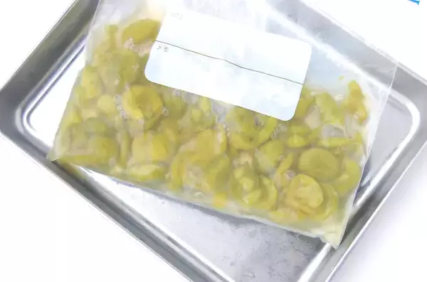 「【30分で仕込み完了】保存袋でラクチン梅仕事♪わずか3日で食べられる「青梅はちみつ漬け」作ろう！」の画像