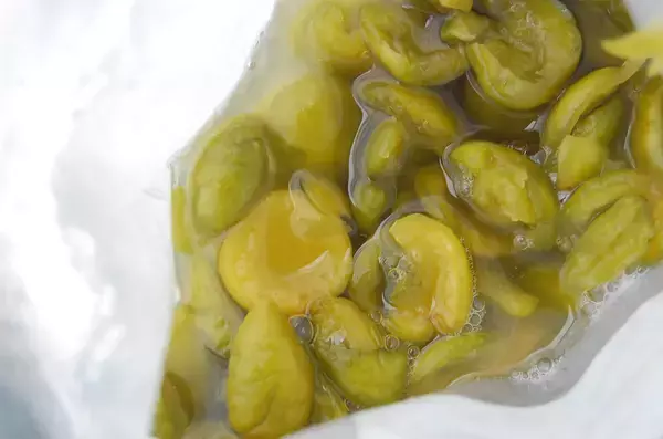 「【30分で仕込み完了】保存袋でラクチン梅仕事♪わずか3日で食べられる「青梅はちみつ漬け」作ろう！」の画像