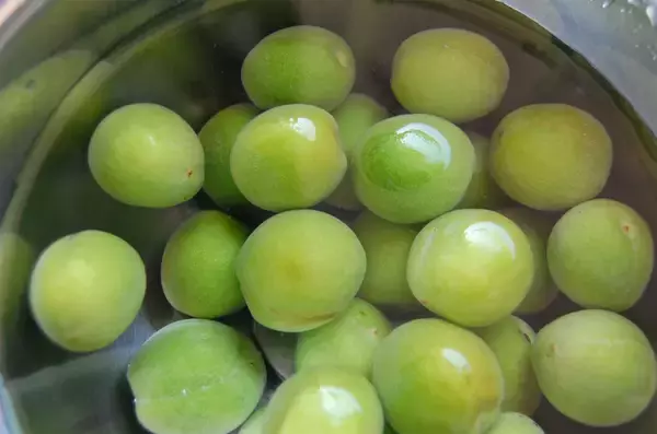 「【30分で仕込み完了】保存袋でラクチン梅仕事♪わずか3日で食べられる「青梅はちみつ漬け」作ろう！」の画像