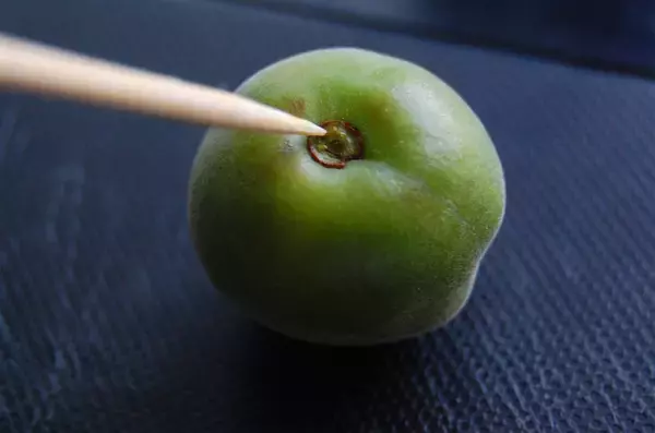 「【30分で仕込み完了】保存袋でラクチン梅仕事♪わずか3日で食べられる「青梅はちみつ漬け」作ろう！」の画像