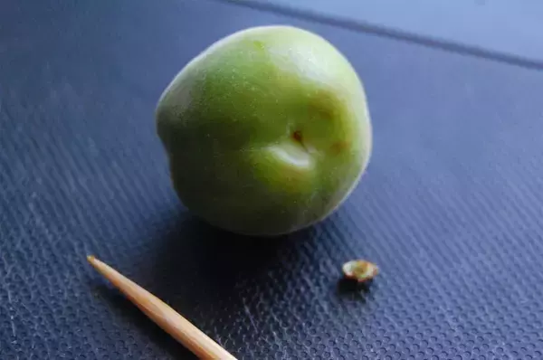 「【30分で仕込み完了】保存袋でラクチン梅仕事♪わずか3日で食べられる「青梅はちみつ漬け」作ろう！」の画像