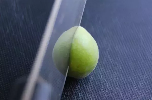 「【30分で仕込み完了】保存袋でラクチン梅仕事♪わずか3日で食べられる「青梅はちみつ漬け」作ろう！」の画像