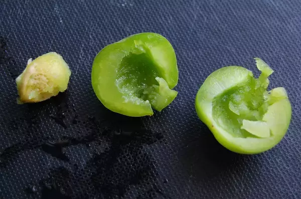 「【30分で仕込み完了】保存袋でラクチン梅仕事♪わずか3日で食べられる「青梅はちみつ漬け」作ろう！」の画像