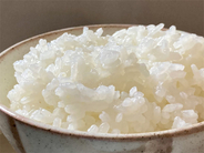 お米マニアの山下美月さんが教わった「最高のお米の炊き方」試してみた！【五つ星お米マイスター直伝】