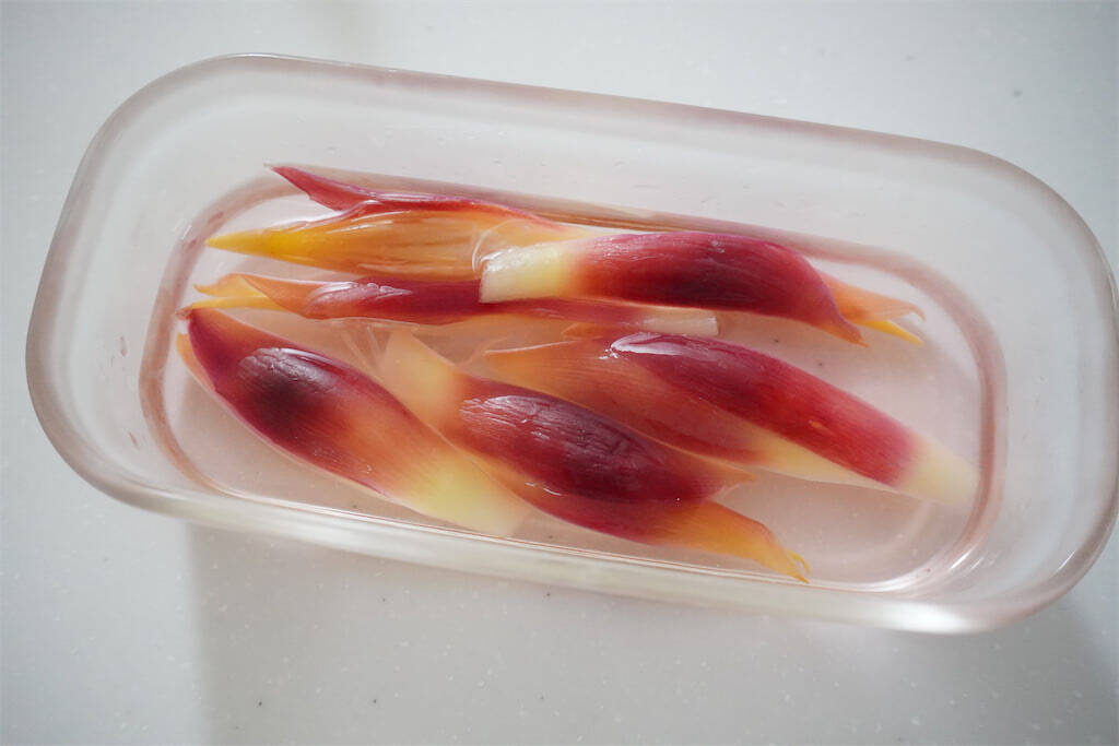 【みょうが甘酢漬け、万能すぎる】漬け汁で酢飯も作れる♪「みょうがとサケ缶の混ぜ寿司」は爽やか初夏メシだった
