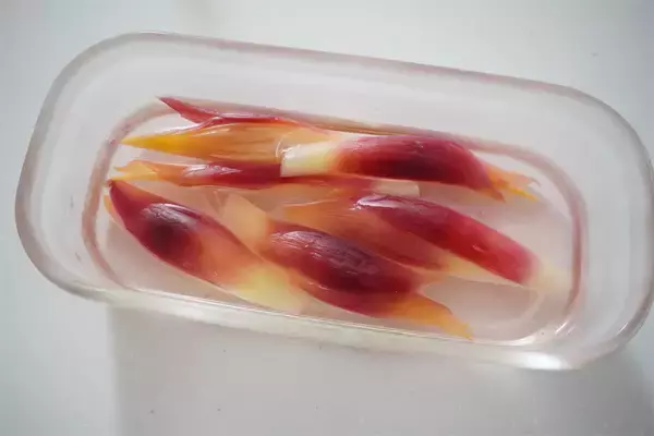 「【みょうが甘酢漬け、万能すぎる】漬け汁で酢飯も作れる♪「みょうがとサケ缶の混ぜ寿司」は爽やか初夏メシだった」の画像