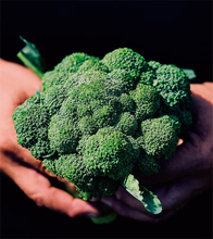 【田園日記～農と人の物語～ Vol.22】農家とJAが手を結び、畑に大きく実らせた「ブロッコリー」