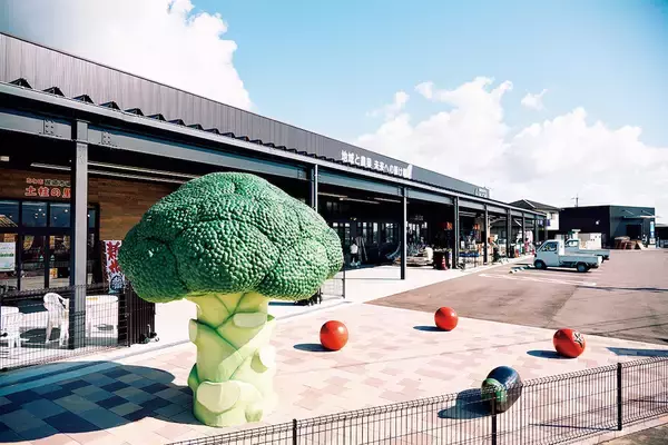 「【田園日記～農と人の物語～ Vol.22】農家とJAが手を結び、畑に大きく実らせた「ブロッコリー」」の画像