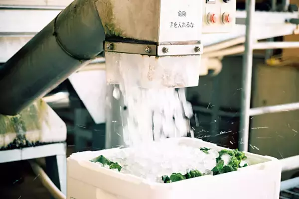 「【田園日記～農と人の物語～ Vol.22】農家とJAが手を結び、畑に大きく実らせた「ブロッコリー」」の画像