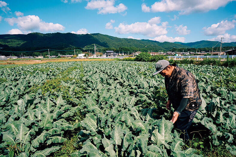 【田園日記～農と人の物語～ Vol.22】農家とJAが手を結び、畑に大きく実らせた「ブロッコリー」