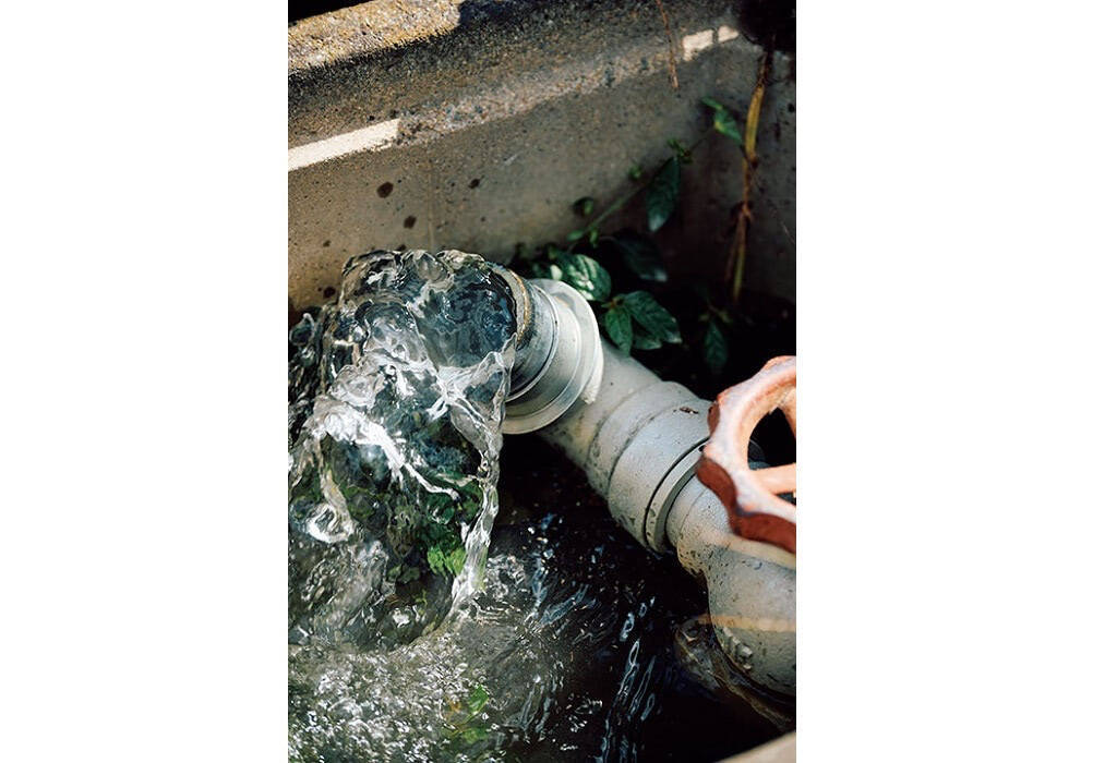 【田園日記～農と人の物語～ Vol.22】農家とJAが手を結び、畑に大きく実らせた「ブロッコリー」