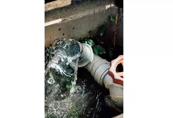 「【田園日記～農と人の物語～ Vol.22】農家とJAが手を結び、畑に大きく実らせた「ブロッコリー」」の画像