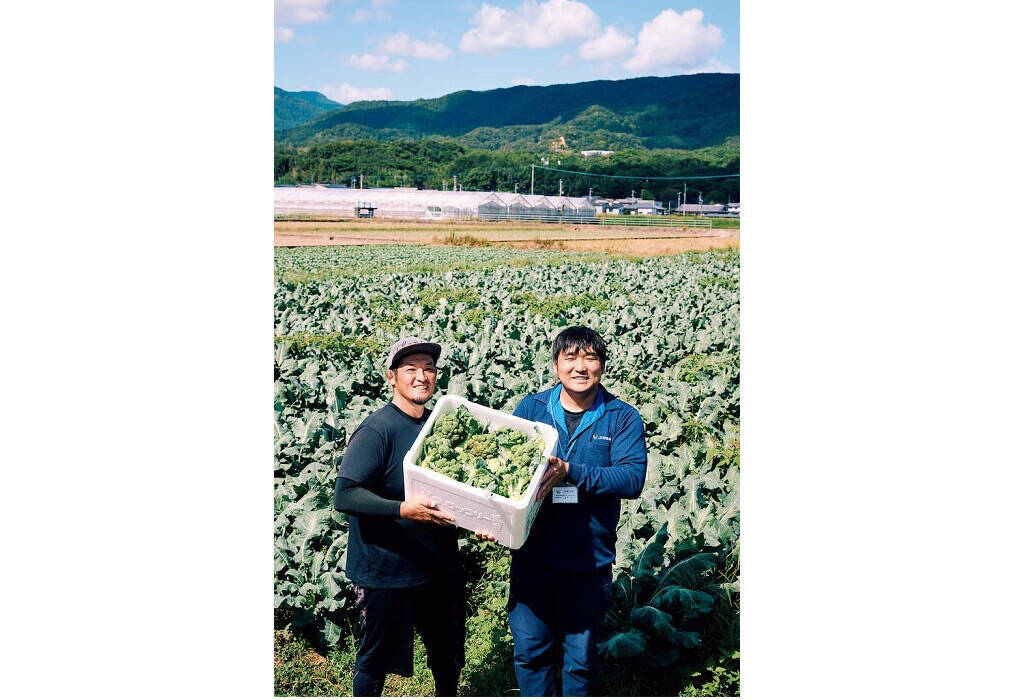 【田園日記～農と人の物語～ Vol.22】農家とJAが手を結び、畑に大きく実らせた「ブロッコリー」