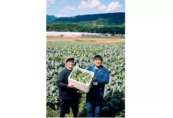 「【田園日記～農と人の物語～ Vol.22】農家とJAが手を結び、畑に大きく実らせた「ブロッコリー」」の画像