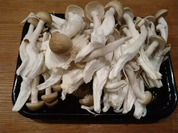 「【豆腐ときのこでガッツリ系!?に】ヘルシー素材で「どんぶり」作ってみた！実はマヨてんこ盛り♪【農家直伝】」の画像