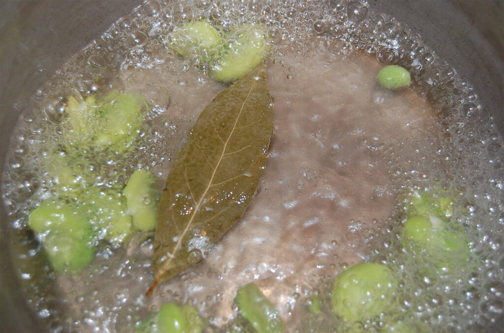 【シェフ脇屋の簡単中華】あぁ…高貴な香り♡「そら豆の香り炒め」はふんわりした味わいに花椒と唐辛子の刺激