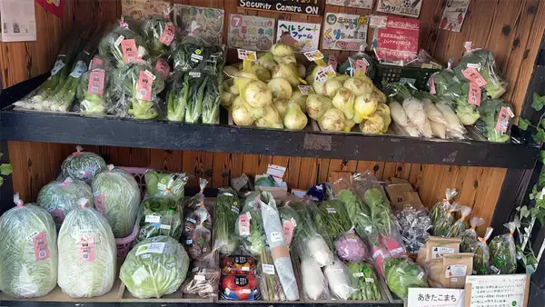 「【淡路島発】黒丸大根にビーツ、合鴨卵などレア農産物揃い♪無人販売所「小屋まる」行ってみた！え、遠隔接客も!?」の画像