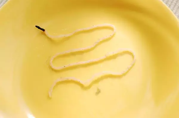 「【まさかのツナ缶で災害対策】衝撃画像！「ツナの油でランプ」灯してみた！2時間は持つって本当なの!?」の画像