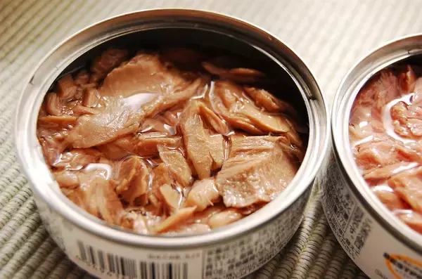 「【まさかのツナ缶で災害対策】衝撃画像！「ツナの油でランプ」灯してみた！2時間は持つって本当なの!?」の画像