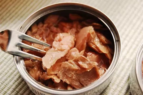 「【まさかのツナ缶で災害対策】衝撃画像！「ツナの油でランプ」灯してみた！2時間は持つって本当なの!?」の画像