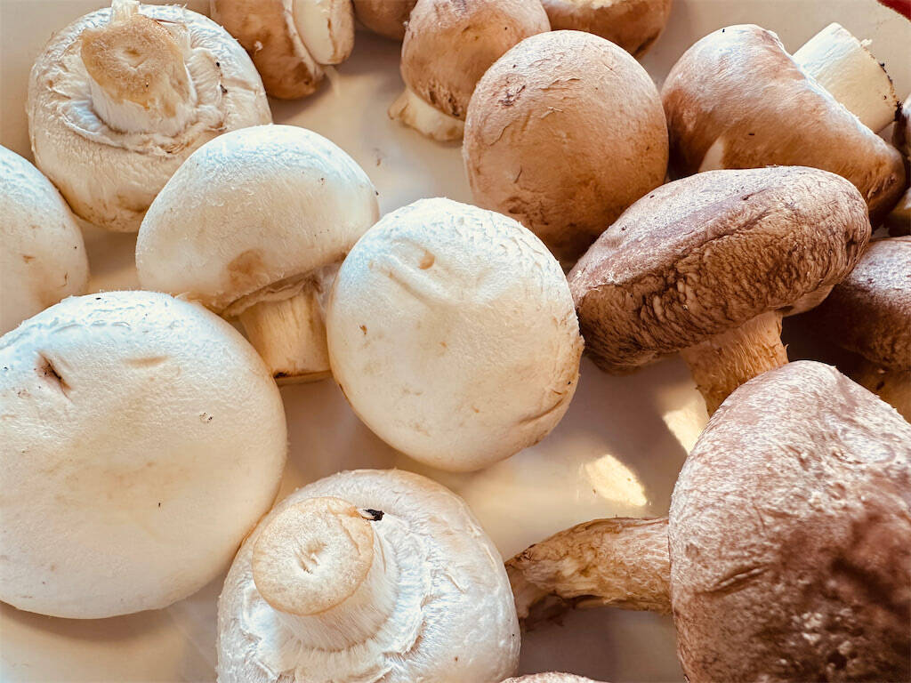 【旬のきのこ4種で】滑らかポタージュ作ろう！深いコクに溺れる♡生クリームなしでもトロットロ【農家直伝】