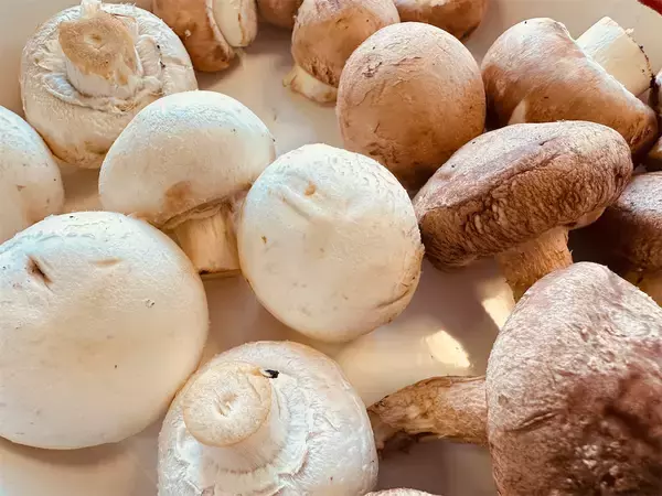 「【旬のきのこ4種で】滑らかポタージュ作ろう！深いコクに溺れる♡生クリームなしでもトロットロ【農家直伝】」の画像